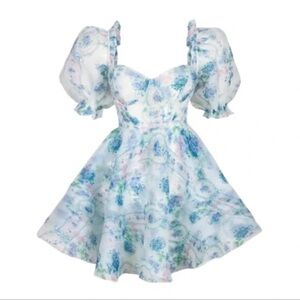 La Belle Etoile Parliment dress size 3XL NWT